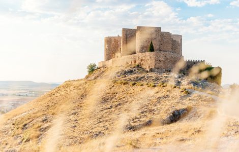 Romanesque castle on top of a hill with dry bush branches out of focus in foreground in Consuegra, Toledo, Spain