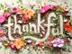 thankful-creative-floral-typography